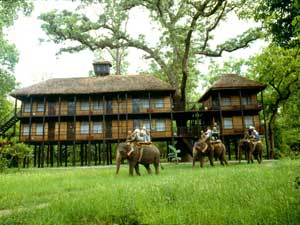 Tiger Tops Jungle Lodge