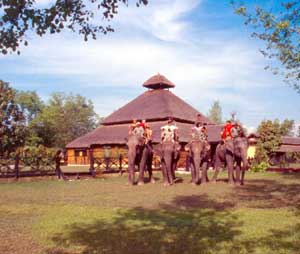 Karnali Jungle Lodge